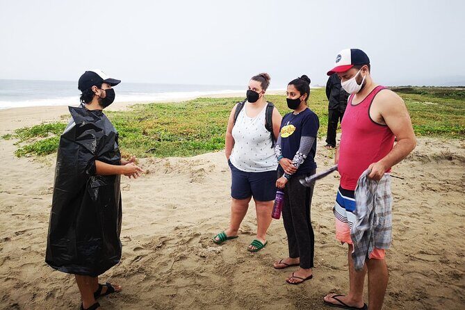 Olive Ridley Turtle Release Experience - Authenticity and Visitor Insights