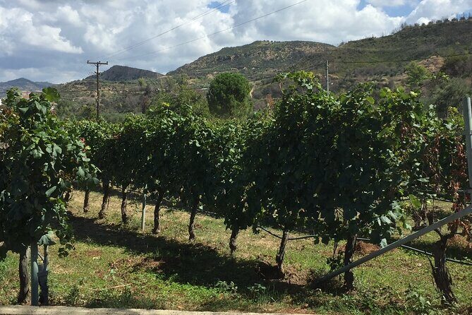 Olympia Highlights & Winery Experience: 4-Hour Tour - Key Points