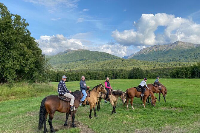 One and Half Hour Trail Ride at The Base of Chugach Mountains - Why This Tour Delivers Value