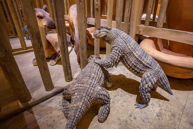 One Day Tour Nashville To Ark Encounter - What Travelers Say and Why It Matters