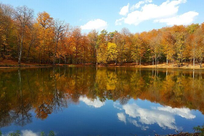 One Day Trip from Tbilisi to Yerevan Armenia - Authentic Experiences and Practical Details