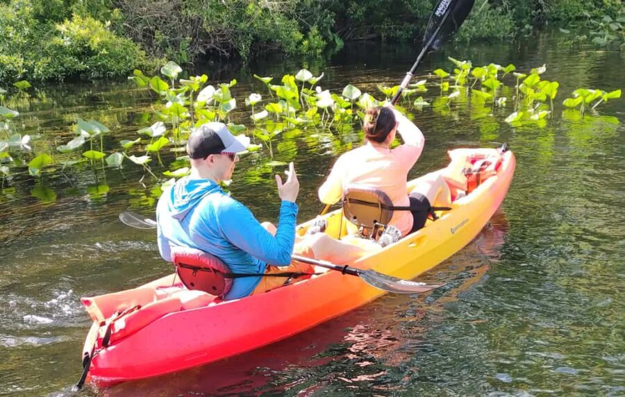 Orlando: Blue Springs Manatee Kayak Tour - What to Expect on the Tour