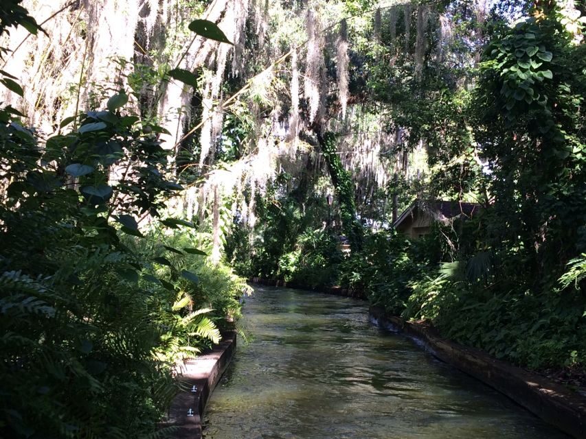 Orlando: City Highlights and Hidden Gems Tour - What to Expect During the Tour