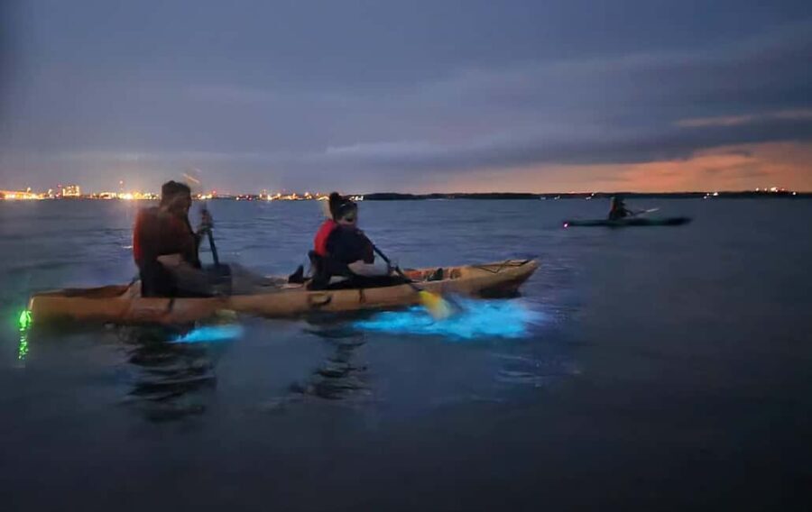 Orlando: Magic After Dark Bioluminescence Kayak Tour - Key Points