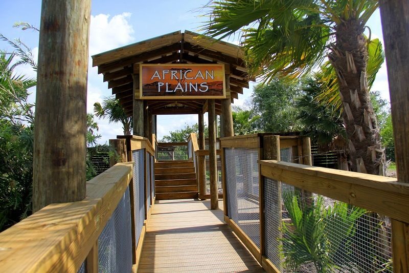 Orlando: Wild Florida Park Ticket and Gator Shows - The Value and Who Will Love This Experience