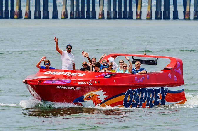 Osprey: A Unique Jet Boat Experience - Who Will Love This Tour?