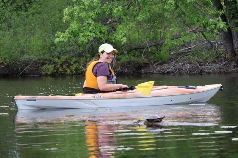 Ottawa: Ecological Reserve Kayak Tour with Turtle Sightings - Who Should Consider This Tour?