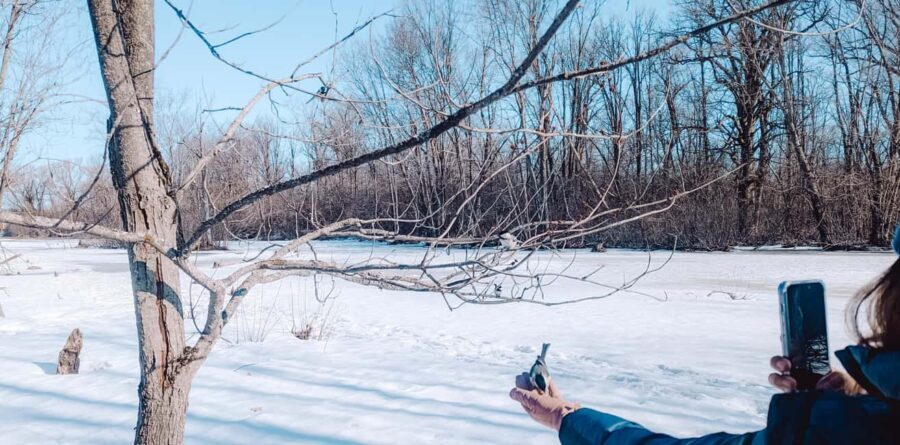 Ottawa: Guided Nature Walk & Wildlife Tour with Hotel Pickup - A Closer Look at the Wildlife