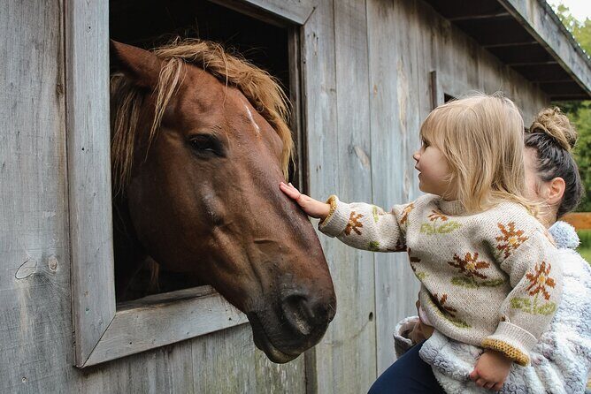 Ottawa Valleyview Little Animal Farm Tour - Who Should Consider This Tour