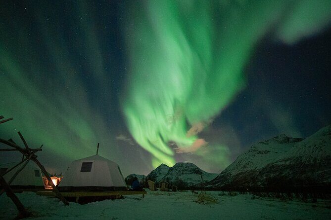Overnight Stay in Lavvu and Reindeer Feeding - Analyzing the Experience’s Value