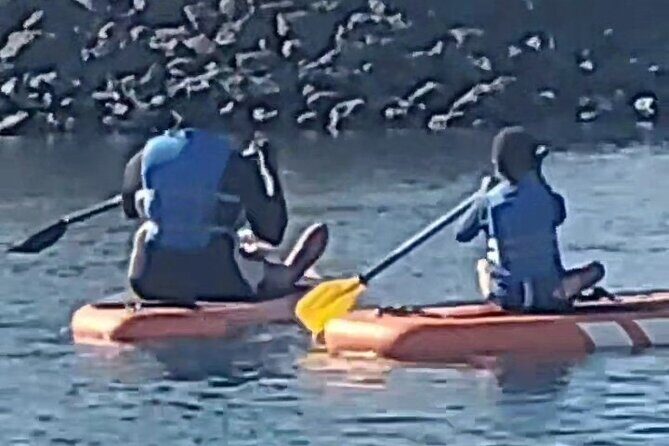 Paddle Board Picnics Lessons Rentals and Outdoor Adventures - The Sum Up