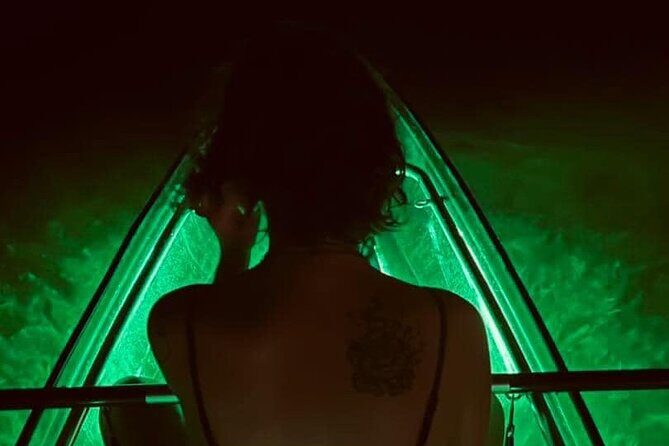 Paddle n Glow, night adventure in the bay of PCB, FL - The Marine Environment and Viewing Opportunities