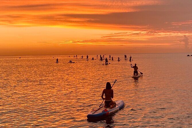 Paddle Surfing in Barcelona - Why This Tour Is a Great Deal
