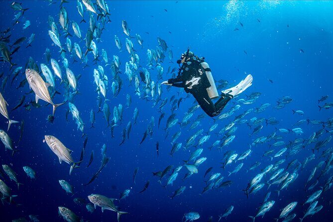 PADI Discover Scuba Diving - Who Will Enjoy This Tour?