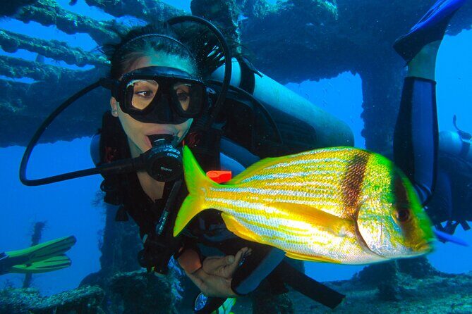 PADI Open Water Diving Certification Course Activity - The Sum Up