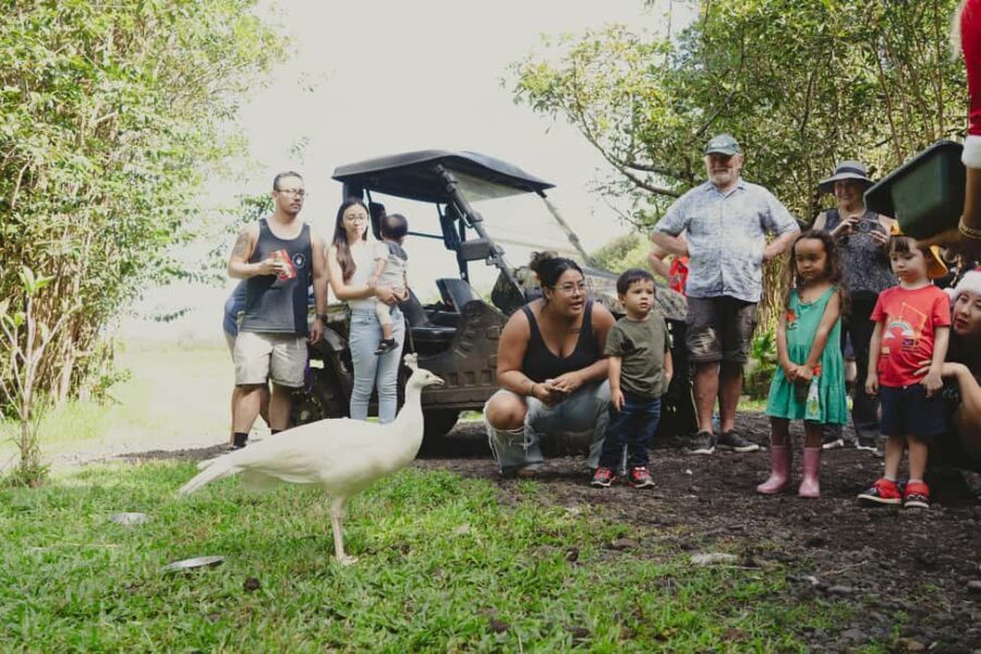 Pahoa: Ranch Tour with Animal Feedings and Interactions - Final Thoughts