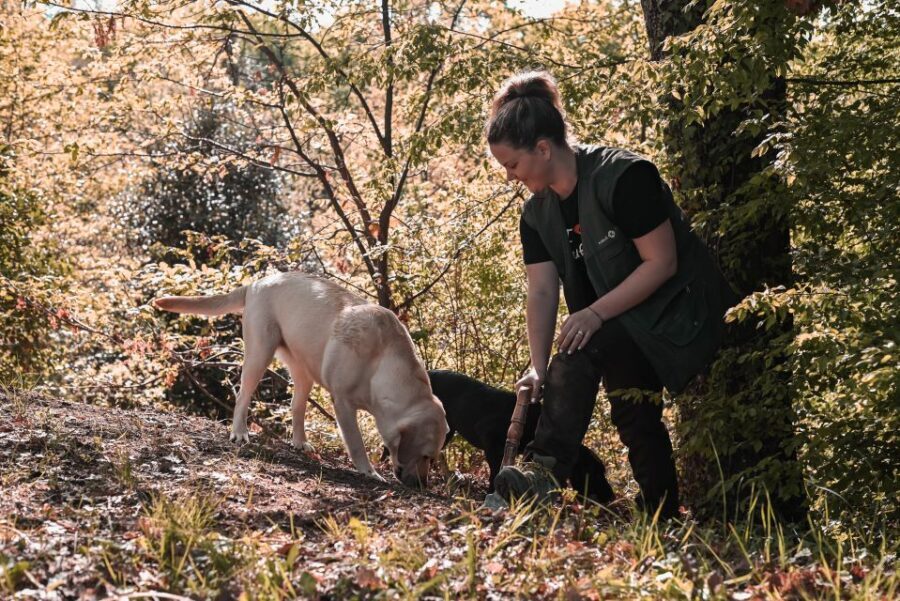 Paladini: Truffle Hunting Tour with 3-Course Tasting Menu - The Truffle Hunt: A Sensory Adventure