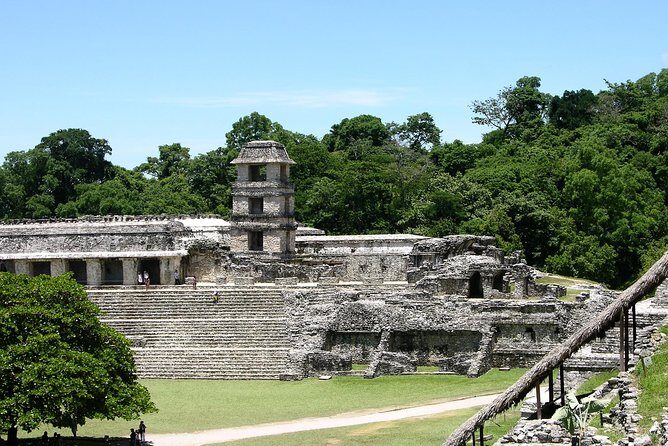 Palenque Maya ruins, guided tour from Palenque - The Sum Up: Is This Tour Worth It?