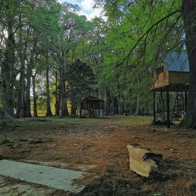 Palenque: Yaxchilan, Bonampak and Lacanja Jungle Adventure - Why This Tour Offers Good Value