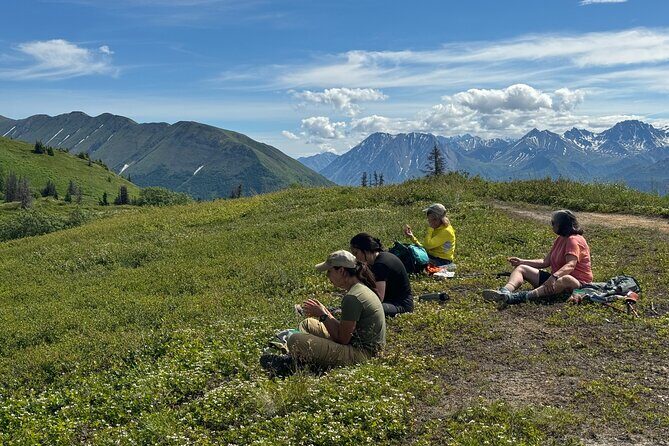 Palmer's Hidden Waterfalls: Full Day Hike - The Experience: What You’ll Love