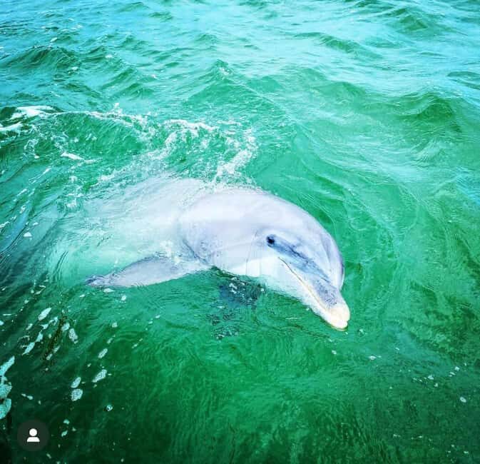 Panama City Beach: Deluxe Pontoon Rental with Shade - What Makes This Experience Special?