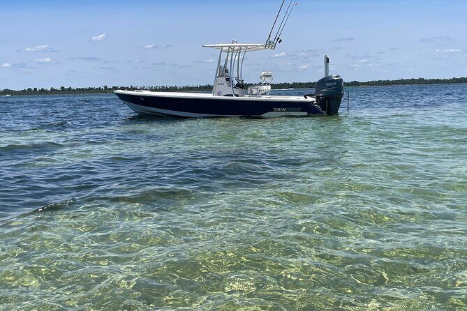 Panama City Beach Florida, Dolphin, Shell Island and Eco Tours - Why This Tour Works Well for Certain Travelers