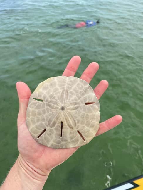 Panama City Beach: Snorkel Excursion with Good Jibez Only - Authentic Perspectives from Reviewers