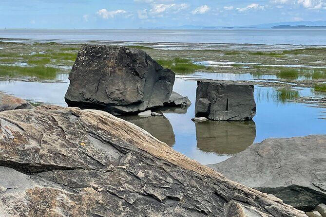 Panoramic and historical tour of the Île d'Orléans - Exploring Île dOrléans: A Scenic and Historic Overview