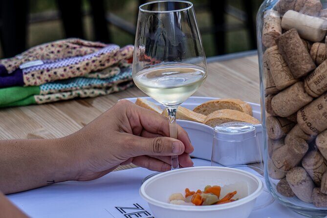 Panoramic wine tasting in Oltrepò Pavese - What the Reviews Highlight