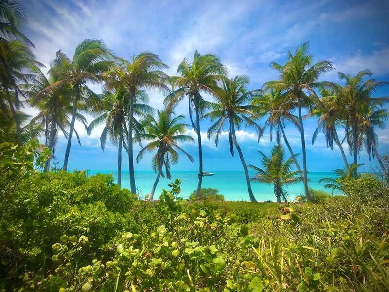 PARADISE ISLAND- ISLA CONTOY AND ISLA MUJERES - An In-Depth Look at the Tour Experience