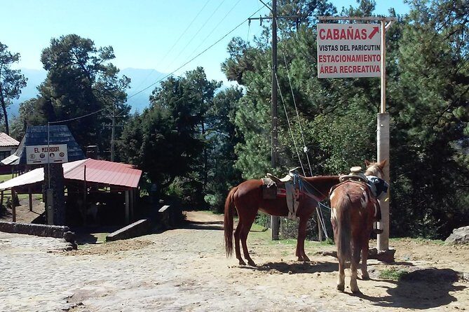 Paricutin Volcano Tour (Morelia) - Exploring the Volcano and Its Surroundings: What to Expect