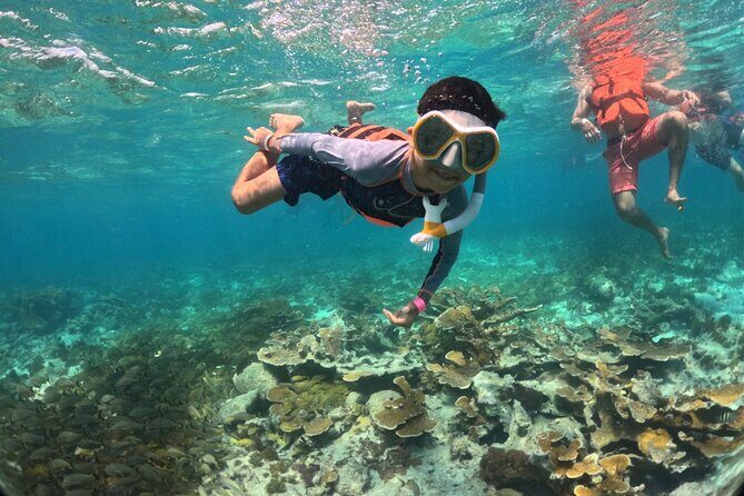 Party at Isla Mujeres Catamaran Open Bar! Half-Day Luxury Tour - An Overview of the Experience