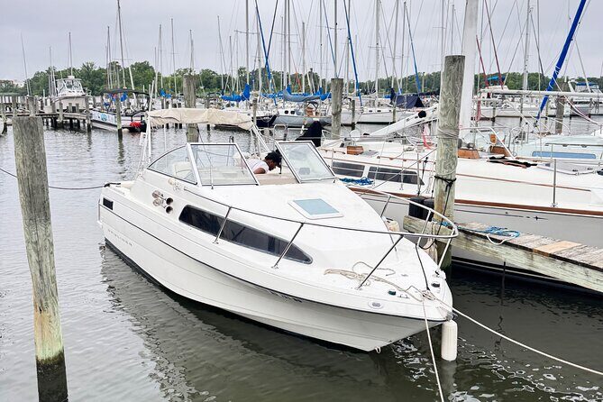 Patapsco River Boat Cruise Scenic 2 Hours Adventure - The Experience from Real Travelers’ Perspectives