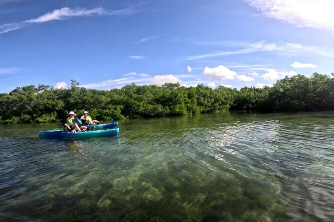 Pedal Kayak Mangrove Tunnel Tour in Bradenton - Why You Should Consider This Tour