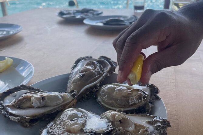 Peljeac - Wine, Oysters and Food Experience from Dubrovnik - The Value and Overall Experience