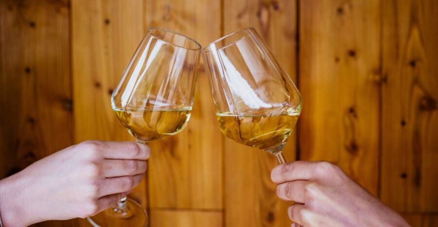 Peljeac wine tasting and local winery visit - What Makes Peljeac Wines Special?