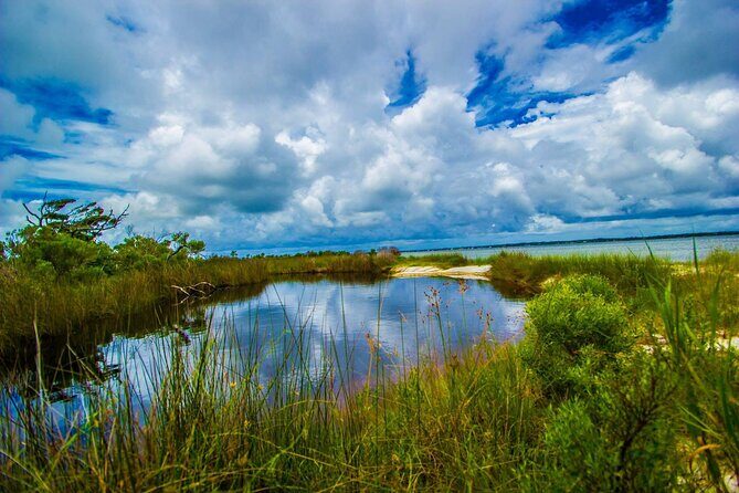 Pensacola Beach Fort Pickens Dolphin Cruise Tour - Practical Tips for Travelers