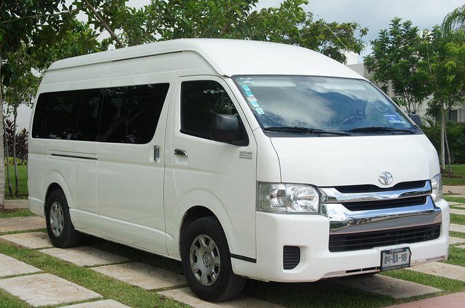 Pet Friendly Transportation Service In Cancun - Who Will Benefit Most?