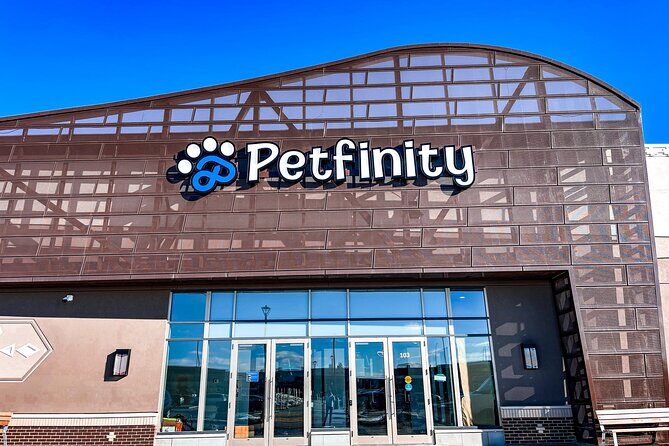 Petfinity Indoor Dog Park in Calgary - What to Expect During Your Visit