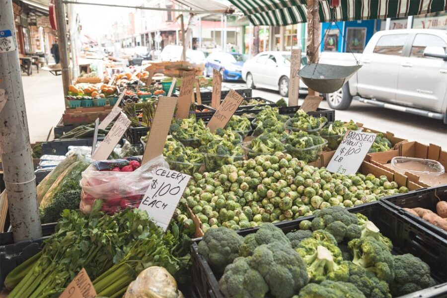 Philadelphia: Italian Market Walking Food Tour - Who Should Consider This Tour?