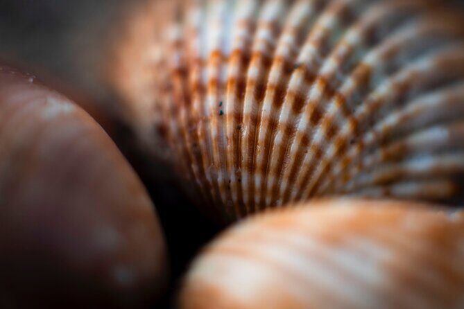 Photo Walking Tour in Sitges - Frequently Asked Questions