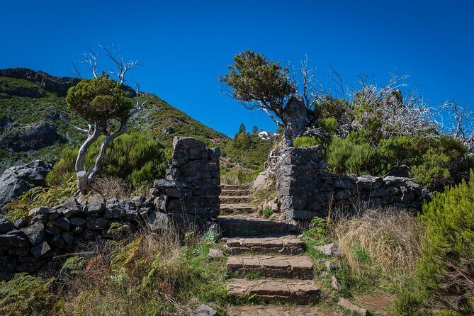 Pico do Areeiro Pico Ruivo Madeira Island Walk - Who Should Consider This Tour?