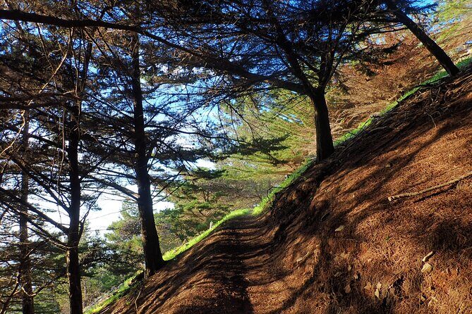 Pico do Facho Panoramic Trail - The Sum Up