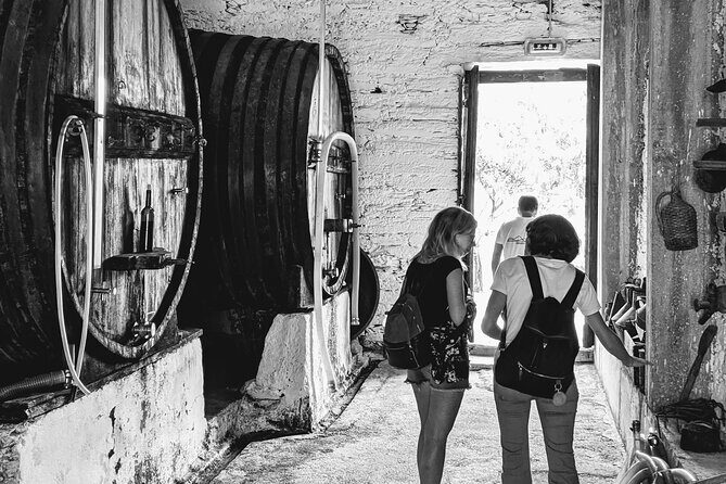 Pinhão Boat, lunch&wine tour - Wine Tasting at a Family Vineyard