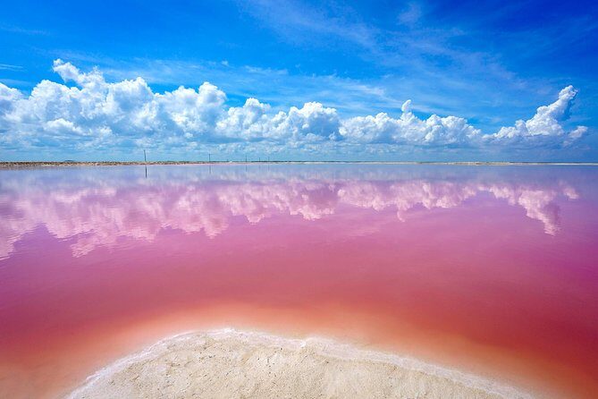 Pink Lake Las Coloradas + Rio Lagartos Reserve! Transportation from Cancun - Final Thoughts