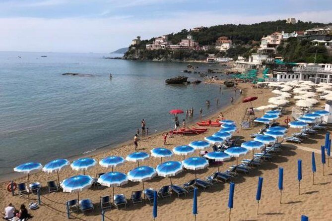 Pisa/Florence Airport Pick-up/Drop-off to Castiglioncello - The Authenticity and Value of this Service