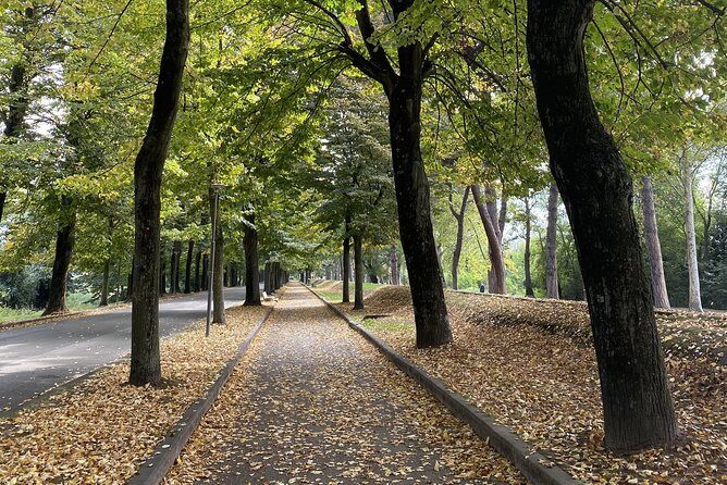 Pisa Full Day from La Spezia Port - Transport and Logistics