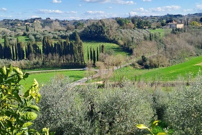 Pisa Tour and Wine Tasting on the Pisan Hills - Exploring Pisa’s Historic Heart: Piazza dei Cavalieri