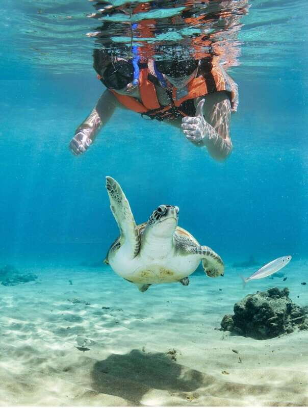 Playa del Carmen: Akumal Turtle Swim & Underground Cenote - Final Thoughts: Who Will Love This Tour?