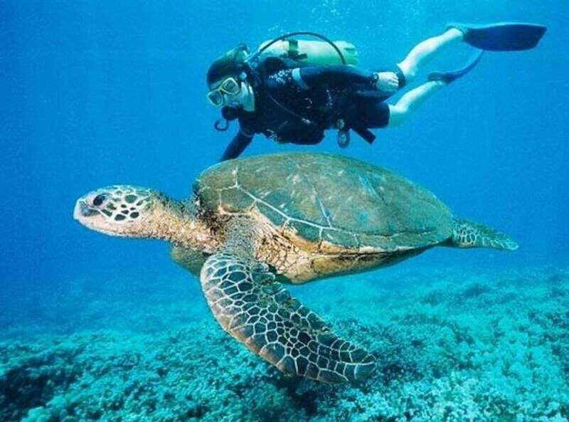 Playa del Carmen: Cenote Diving for Certified Divers - Final Thoughts: Is It Worth It?